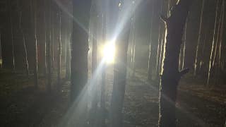 Country boys in Kentucky hear knocks in woods at night before one catches glimpse of Bigfoot with spotlight