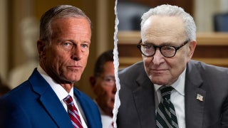 Thune goes all-in on campaign trail as Schumer stays on bench, faces rejection from fellow Dems