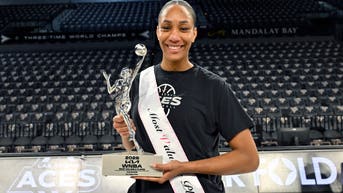 WNBA MVP with $260K-private school upbringing caught fabricating hardship narrative - Fox News