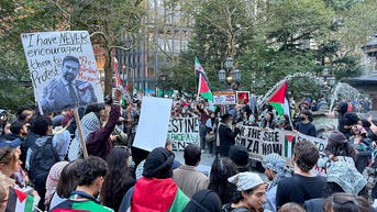 Agitators cheer Oct. 7 massacre in New York City and across the country - Fox News