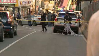 ICE officer shoots, injures man during targeted immigration operation in Bronx: DHS - Fox News