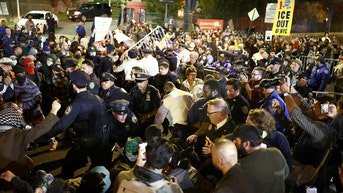 Protests erupt in the Bronx after ICE officer shoots man during immigration operation - Fox News