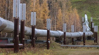 States choking off domestic fuel turned us into customers relying on the world for supply - Fox News