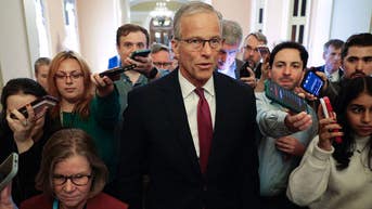 Thune makes bold prediction about Senate control as GOP pulls millions from key races - Fox News
