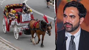 Mamdani's horse carriage ban sparks union backlash over 'anti-labor' crackdown - Fox News