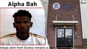 EXCLUSIVE: ICE captures illegal alien at center of NYC manhunt after sanctuary city release