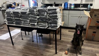 California K-9 Otis helps police seize 440 pounds of cocaine during Alhambra traffic stop