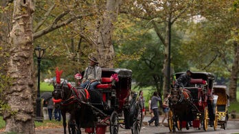 NYC votes to end nearly 170-year-old horse carriage tradition as Trump blasts ban, drivers threaten lawsuit
