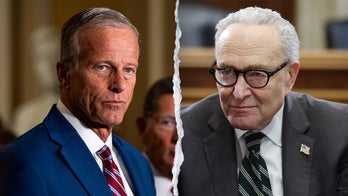Thune goes all-in on campaign trail as Schumer stays on bench, faces rejection from fellow Dems