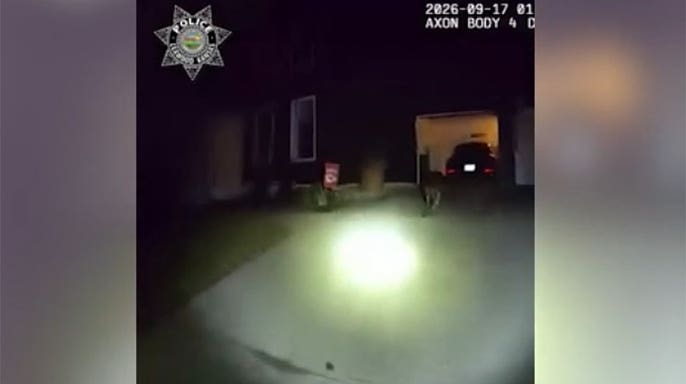 Dog walks up driveway to garage of home in Kansas