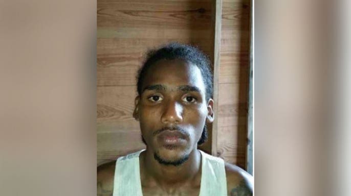 DHS-provided photo of a man sought by ICE during a Bronx immigration operation that ended in a shooting