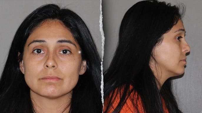 image shows split of mugshots