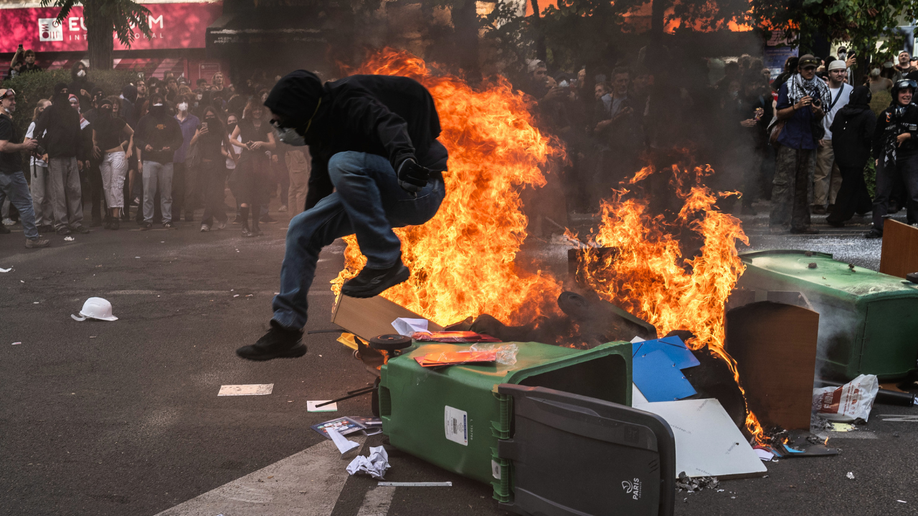 protestor-paris-france.png