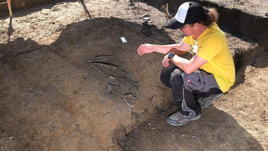 7,000-year-old bones uncovered at construction site in startling find