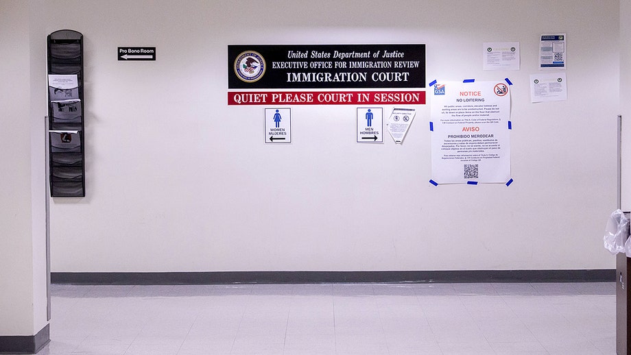 EXCLUSIVE: Fed timeline challenges reports of migrant baby facing immigration judge alone