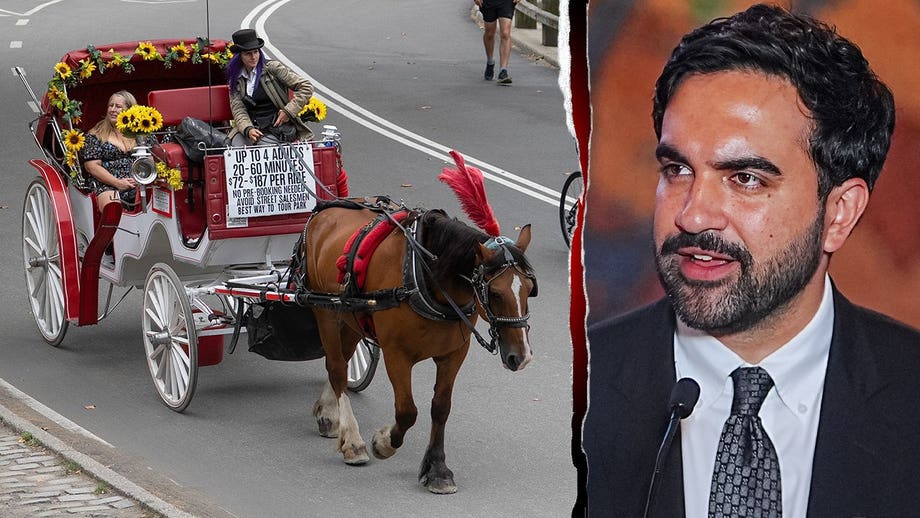 Mamdani blasted for putting NYC carriage drivers out to pasture in union showdown