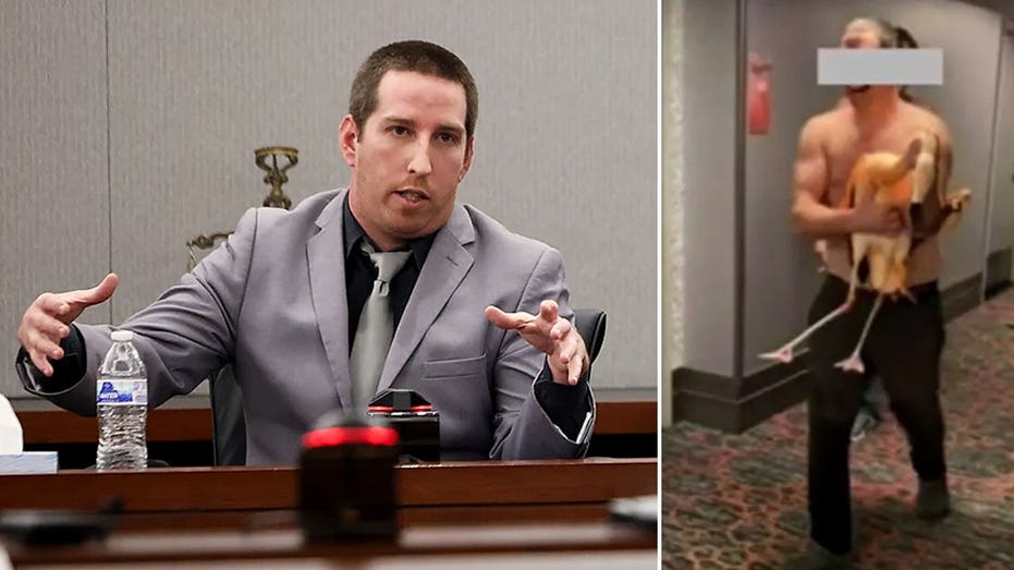 Las Vegas tourist accused of harming flamingo at iconic hotel in drunken encounter caught on video