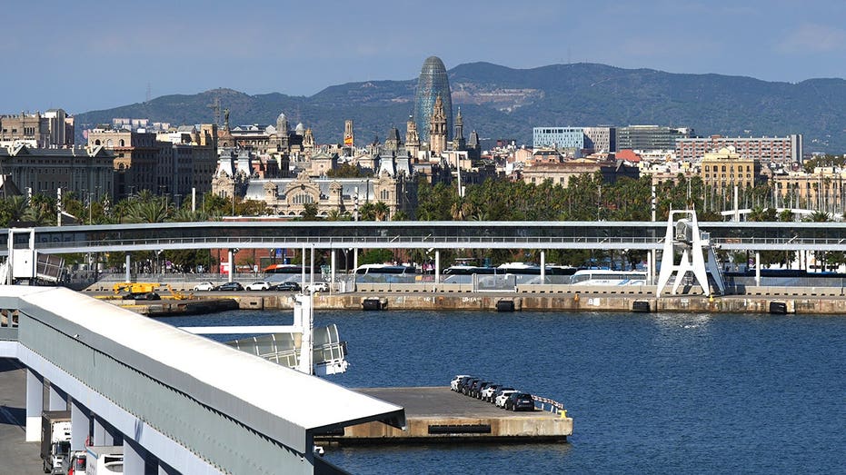 Cruise passengers face blocked access as angry protesters set barricades on fire