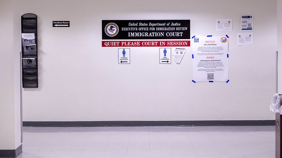 EXCLUSIVE: Fed timeline challenges reports of migrant baby facing immigration judge alone