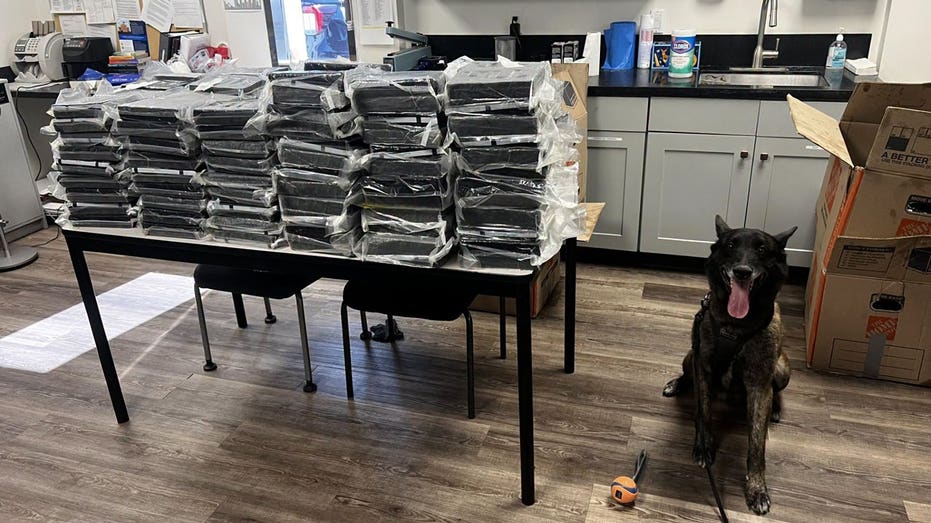 California K-9 Otis helps police seize 440 pounds of cocaine during Alhambra traffic stop