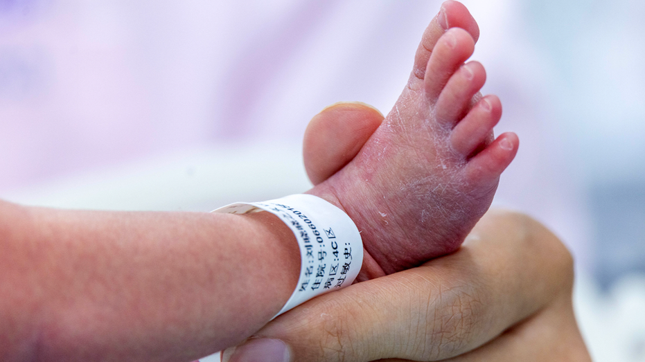Expert calls California 'Wild West' for surrogacy after couple charged with abusing surrogate-born children