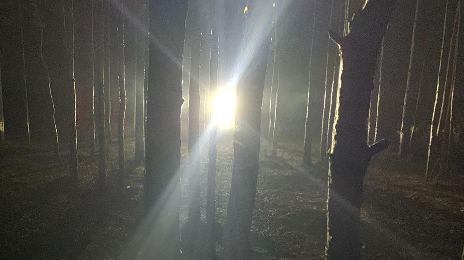 Country boys in Kentucky hear knocks in woods at night before one catches glimpse of Bigfoot with spotlight
