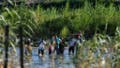 A migrant family from Venezuela illegally crosses the Rio Grande River in Eagle Pass, Texas, at the border with Mexico on June 30, 2022. - Every year, tens of thousands of migrants fleeing violence or poverty in Central and South America attempt to cross the border into the United States in pursuit of the American dream. Many never make it. On June 27, around 53 migrants were found dead in and around a truck abandoned in sweltering heat near the Texas city of San Antonio, in one of the worst disasters on the illegal migrant trail. (Photo by CHANDAN KHANNA / AFP) (Photo by CHANDAN KHANNA/AFP via Getty Images) - Fox News