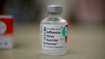 CDC Data Reveals Extremely Low Efficacy For This Year’s Flu Vaccine As Experts Fail Again - Fox News