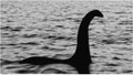Do re-surfaced photos show the Loch Ness Monster. (Credit: Getty Images)