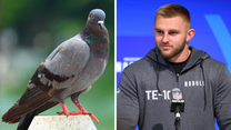 NFL Draft prospect reveals an odd belief about winged animals