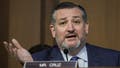 WASHINGTON, DC - MAY 11: Sen. Ted Cruz (R-TX) speaks during a business hearing of the Senate Judiciary Committee on Capitol Hill May 11, 2023 in Washington, DC. This was Sen. Dianne Feinstein's (D-CA) first hearing after fighting a case of shingles and being absent from the Senate for almost three months. (Photo by Drew Angerer/Getty Images) - Fox News