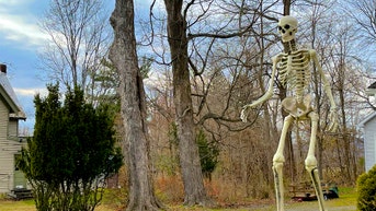 USA Today Posts Absurd Halloween Story On Dogs Being Afraid Of 12-Foot Skeletons - Fox News
