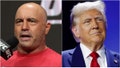 Joe Rogan endorsed Donald Trump with a very simple message. What did Rogan tweet? Watch his interview with Elon Musk. (Credit: Getty Images) - Fox News