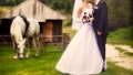 Wedding Video Ruined By A Gassy Horse Who Wouldn&rsquo;t Stop Farting - Fox News