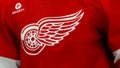 Detroit Red Wings Introduce New 'Chicken Tender Zamboni Bucket' - Fox News