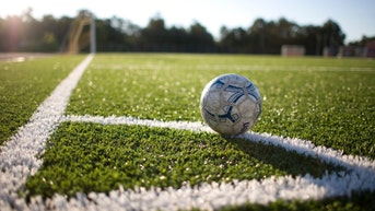 NWSL Releases Incredibly Cringy Graphic For New League Year - Fox News