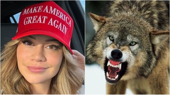 Hunter Smokes Wolf At Close Range With Epic Shot, Video Is Must-Watch - Fox News