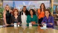 'View' Blowhard Joy Behar Seems Interested In When Protesters Can Attack ICE Agents - Fox News