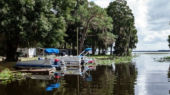 Two Knocked Out During Wild Brawl At Florida Lake, At Least Three Mullets Spotted: WATCH - Fox News