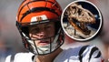 Bengals QB Joe Burrow Gifted His Linemen Fossils For Christmas - Fox News