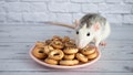 Two Rats, One Bagel: Rodents Play Tug-O'-War Over Soggy Subway Snack In Viral NYC Clip - Fox News
