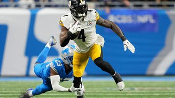 Steelers Fan Makes Inflatable Of DK Metcalf's Interaction With A Lions Fan - Fox News