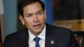Marco Rubio Jumps Vance and Newsom As Favorite To Win 2028 Election - Fox News