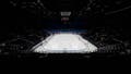 Olympic Arena Can't Catch A Break: Now People Are Ragging On Its Tiny Jumbotron - Fox News