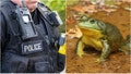 AI Backfires In Utah After Police Report Claims Officer Turned Into a Frog - Fox News