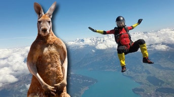 Skydiver Gets Kicked By Kangaroos, Al Roker's Midair Prison Snack & A Startling Elevator Revelation - Fox News