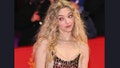 Amanda Seyfried Says She Wore A Prosthetic Butthole, Which Evidently Is A Thing, For A Recent Movie Role - Fox News