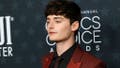 'Stranger Things' Star Noach Schnapp Betrays American Hockey For Canada And Pays The Price - Fox News