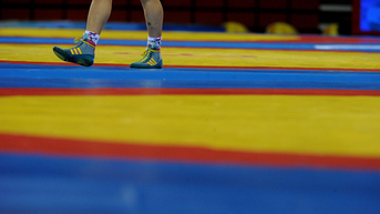 Trans Wrestler Accused Of Sexually Assaulting Female Opponent Withdraws From State Tournament - Fox News