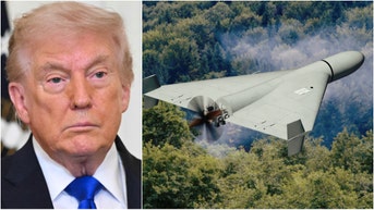 U.S. Military Ready To Unleash Kamikaze Weapons On Iran: DETAILS - Fox News